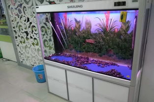 魚缸也有壽命，你的魚缸是否已“過期”？